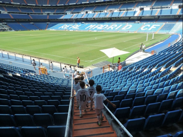 Bajando al cesped del estadio.jpg